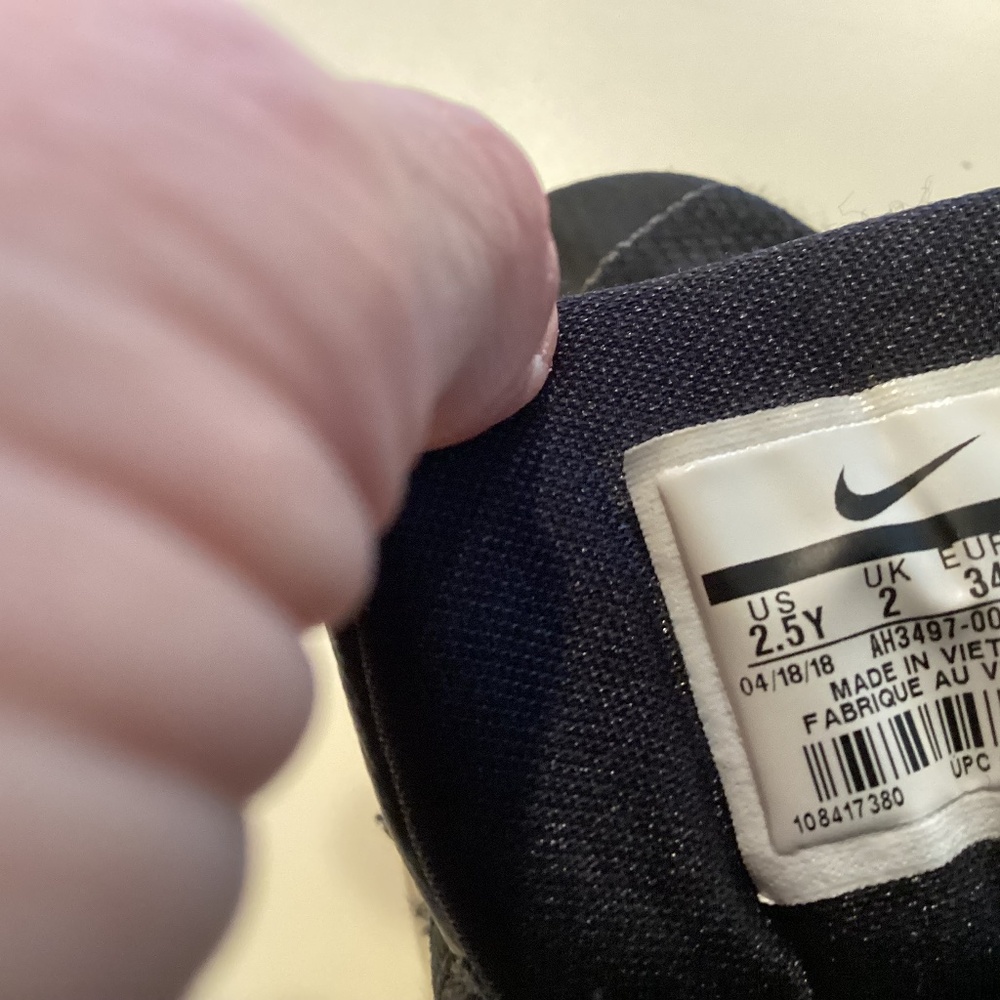 Nike King James Basketball shoes